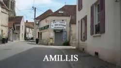 epaviste gratuit Amillis (77120)
