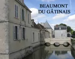 epaviste gratuit Beaumont-du-Gâtinais (77890)