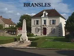 epaviste gratuit Bransles (77620)