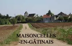 epaviste gratuit Maisoncelles-en-Gâtinais (77570)