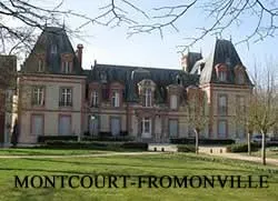 epaviste gratuit Montcourt-Fromonville (77140)