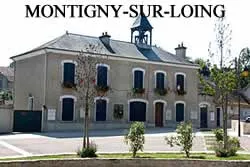 epaviste gratuit Montigny-sur-Loing (77690)
