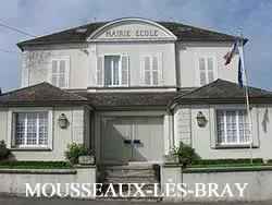 epaviste gratuit Mousseaux-lès-Bray (77480)