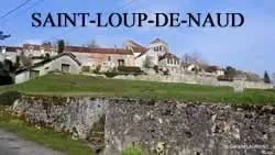 epaviste gratuit Saint-Loup-de-Naud (77650)