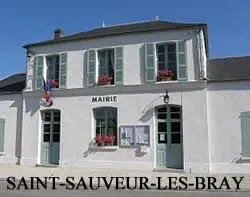 epaviste gratuit Saint-Sauveur-lès-Bray (77480)