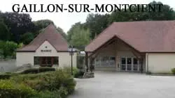 epaviste gratuit Gaillon-sur-Montcient (78250)