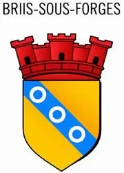 epaviste gratuit Briis-sous-Forges (91640)