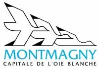 epaviste gratuit Montmagny (95360)